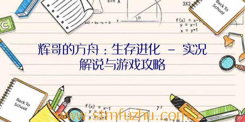 辉哥的方舟：生存进化